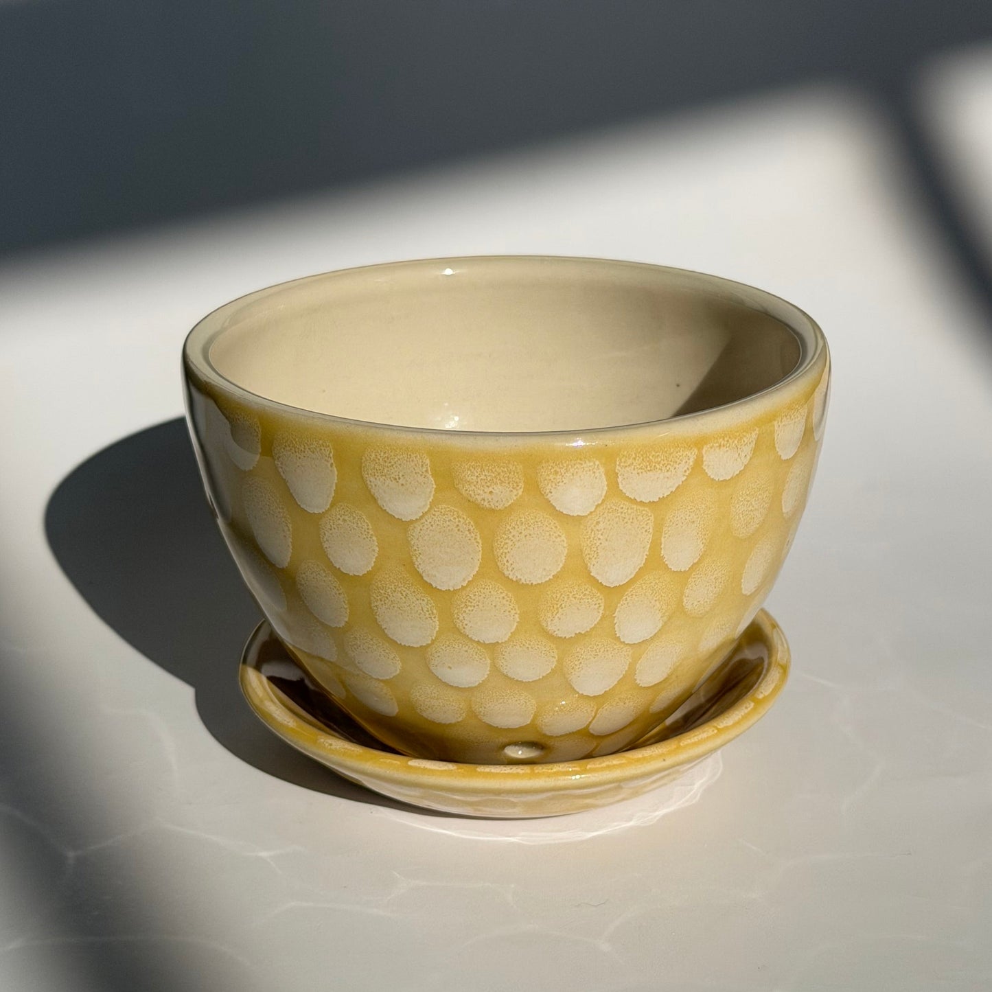 lemon drop berry bowl + drip tray