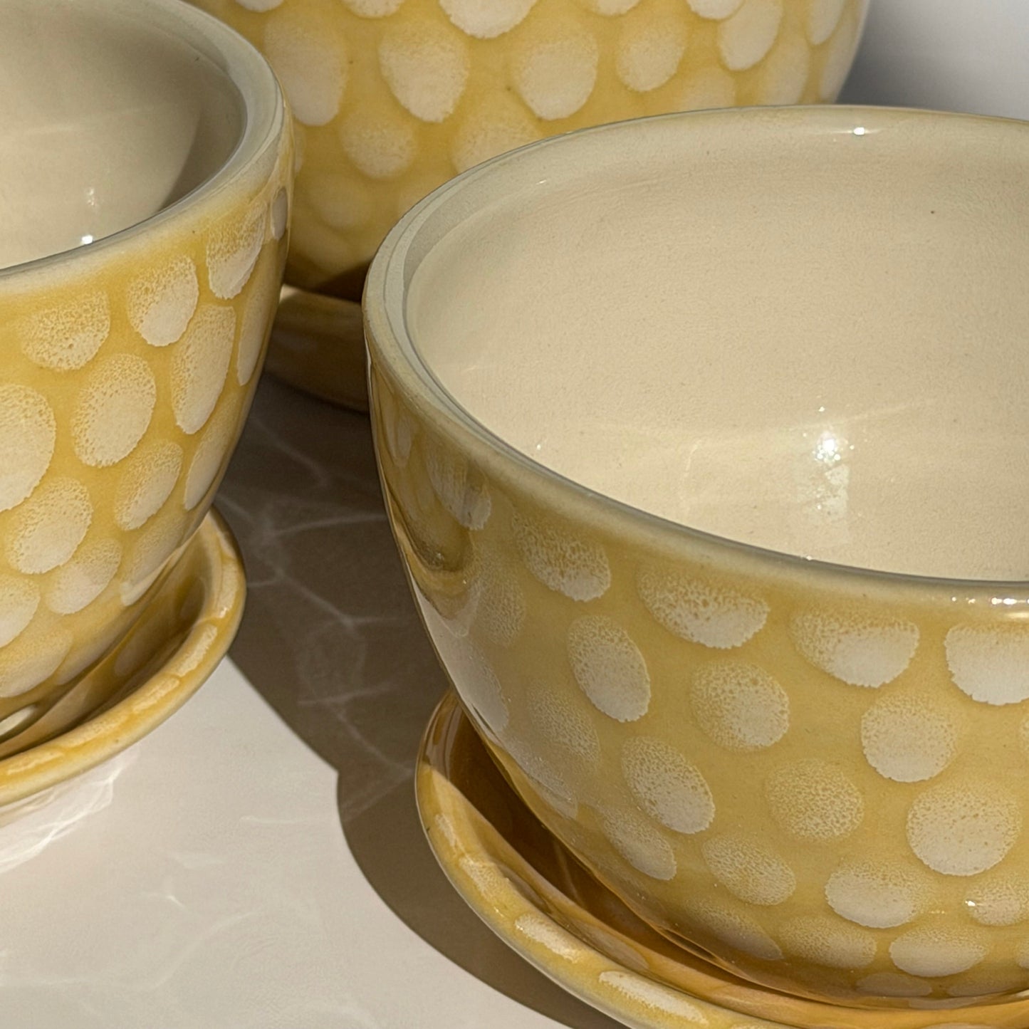 lemon drop berry bowl + drip tray