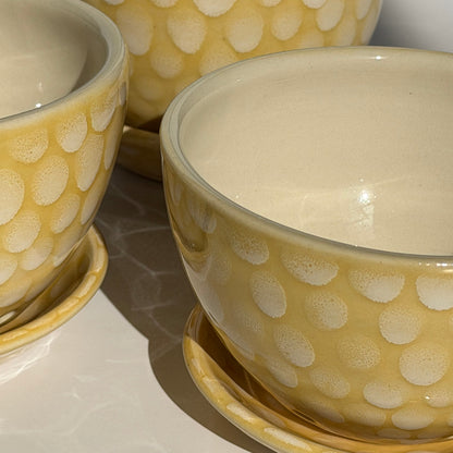 lemon drop berry bowl + drip tray