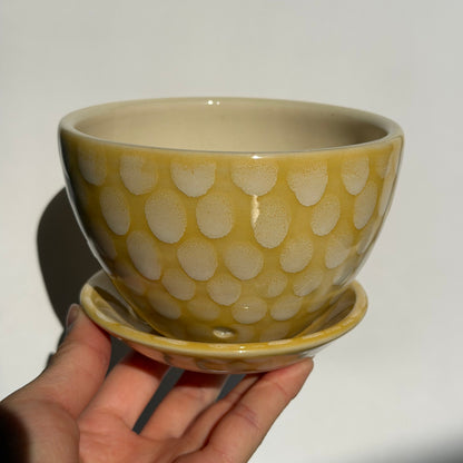 lemon drop berry bowl + drip tray